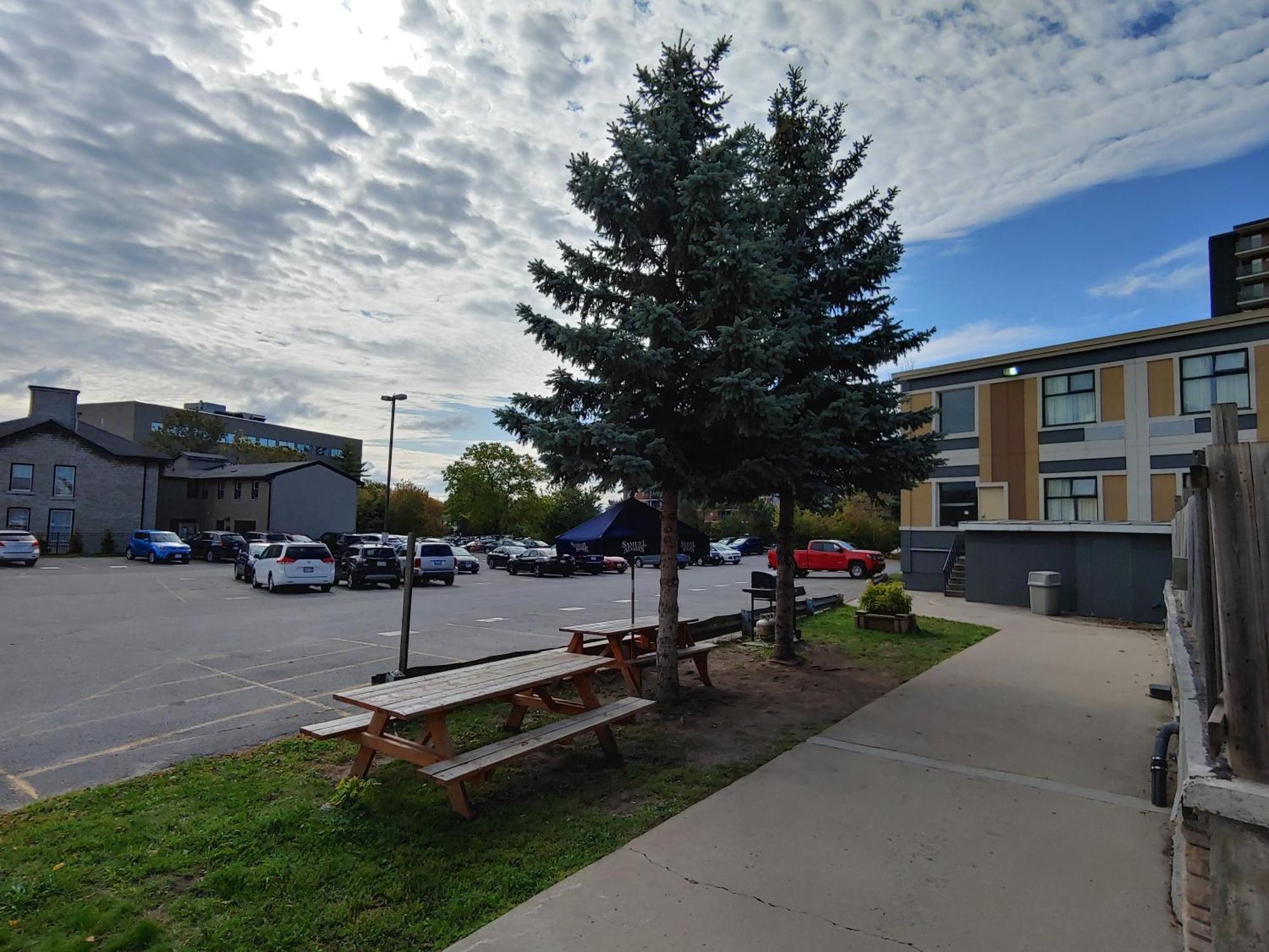 Econo Lodge City Centre Kingston Eksteriør billede