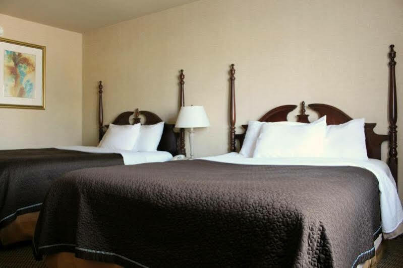 Econo Lodge City Centre Kingston Eksteriør billede